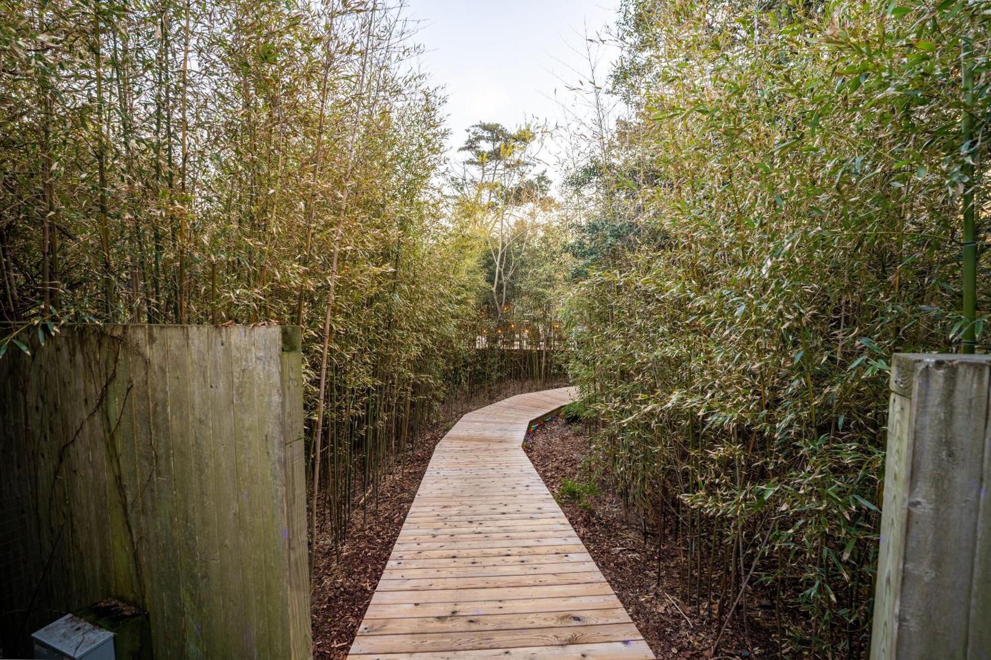 ホテル The Madison Fire Island Pines エクステリア 写真